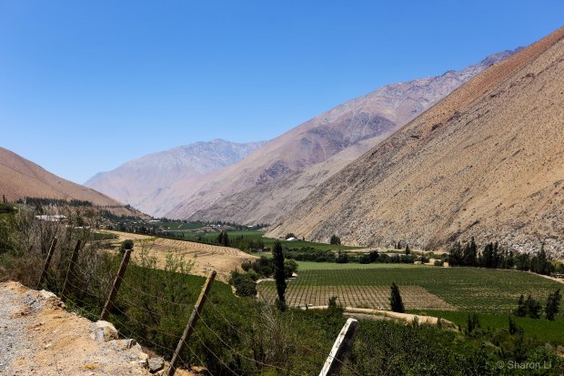 the elqui valley!